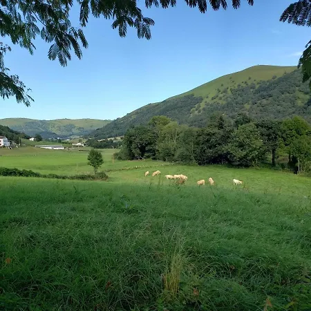 Oihenartezaharrea, Bulle De Serenite *