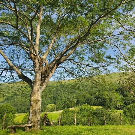 Oihenartezaharrea, Bulle De Serenite בית נופש *