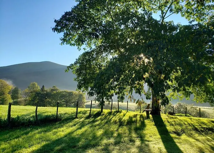 Oihenartezaharrea, Bulle De Serenite *