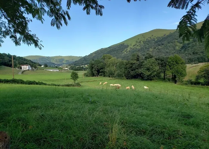 Oihenartezaharrea, Bulle De Serenite *